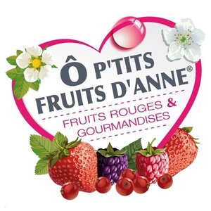 Logo Ô P'tits Fruits D'anne