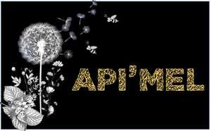 Logo de Api'mel