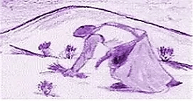 Logo Aux Vertus Des Plantes