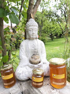 Logo Bee Free Feel Good