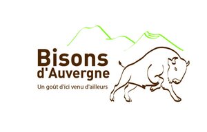 Logo Bisons D'auvergne