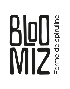 Logo Bloomiz
