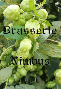 Logo Brasserie Nimbus