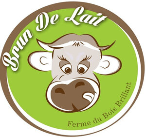 Logo Brun De Lait