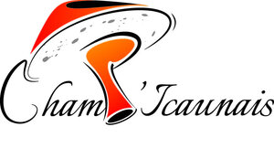 Logo Champ'icaunais