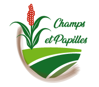 Logo Champs Et Papilles