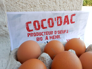 Logo Coco'dac