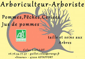 Logo Colas Guillot