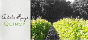 Logo Domaine Adèle Rouzé