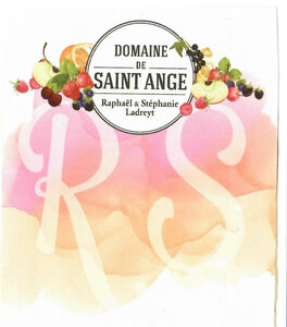 Logo de Domaine De St Ange