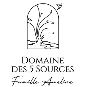 Logo Domaine Des 5 Sources
