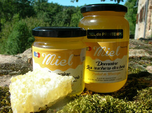 Logo Domaine Les Ruchers De Bois