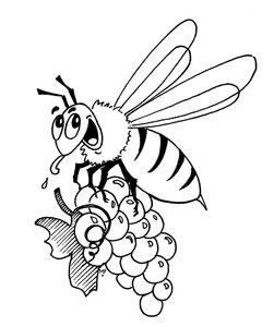 Logo Domaine Nicolas Raspiller