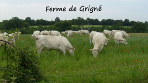 Logo Earl Ferme De Grigne