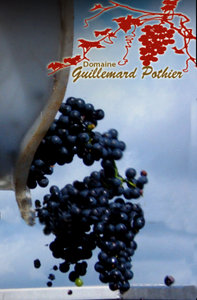 Logo Earl Guillemard-pothier