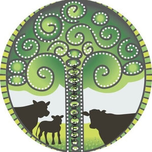 Logo Earl Vignon