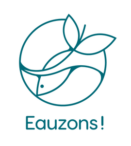 Logo Eauzons