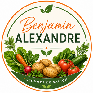 Logo Benjamin Alexandre