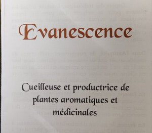 Logo de Evanescence