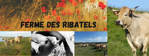 Logo Ferme Des Ribatels