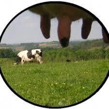 Logo Ferme Peyrecor
