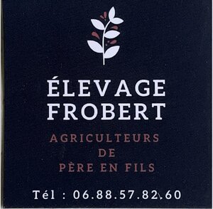 Logo Frobert Sylvain