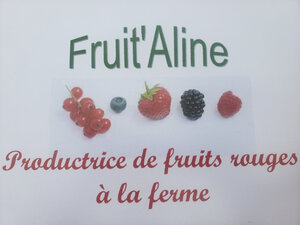 Logo de Fruit'aline