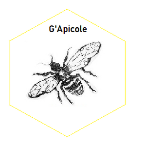 Logo G'apicole - Les Ruches De La Courtavaux