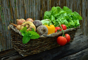 Logo Grains Et Legumes