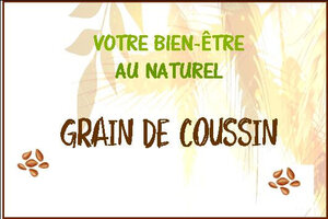 Logo Grain De Coussin