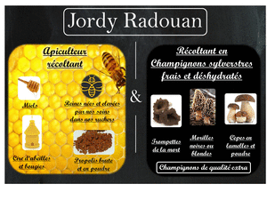 Logo Jordy Radouan - Miels & Champignons