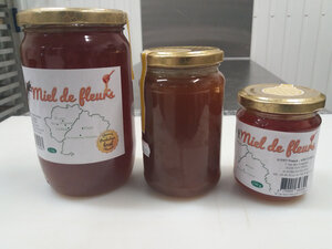 Logo Miel - Judet Franck -