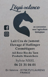 Logo L'équi-valence