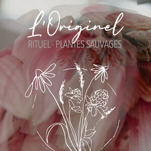 Logo L'originel - Rituel Et Plantes Sauvages