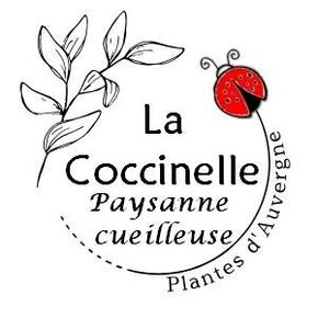 Logo La Coccinelle