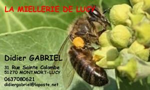 Logo La Miellerie De Lucy