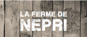 Logo Le Grenier De Népri