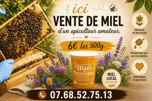 Logo Le Rucher Des Beezzz