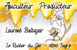 Logo Baltazar Laurent