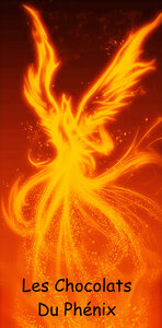 Logo Les Chocolats Du Phénix