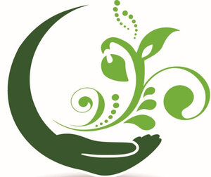 Logo Les Merveilles De Domi