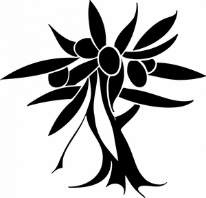Logo de Les Petits Producteurs Du Sud