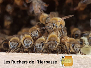 Logo Les Ruchers De L'herbasse