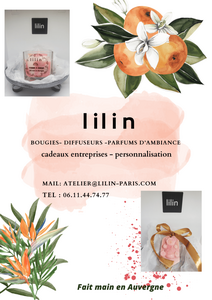 Logo Lilin