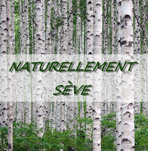 Logo Naturellement Seve