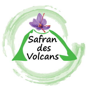 Logo Safran Des Volcans