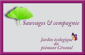 Logo Sauvages Et Compagnie