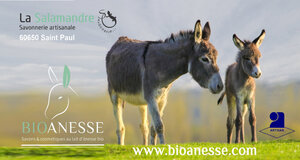 Logo Savonnerie La Salamandre
