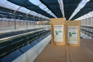 Logo Spiruline Des Grands Causses