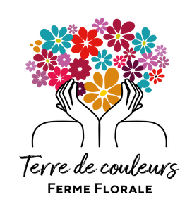 Logo Terre De Couleurs Ferme Florale